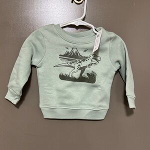 Garanimals Mint Dino Graphic Sweatshirt
